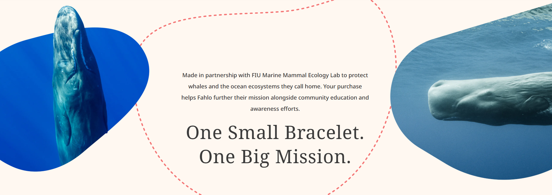 Fahlo - The Wayfare Bracelet