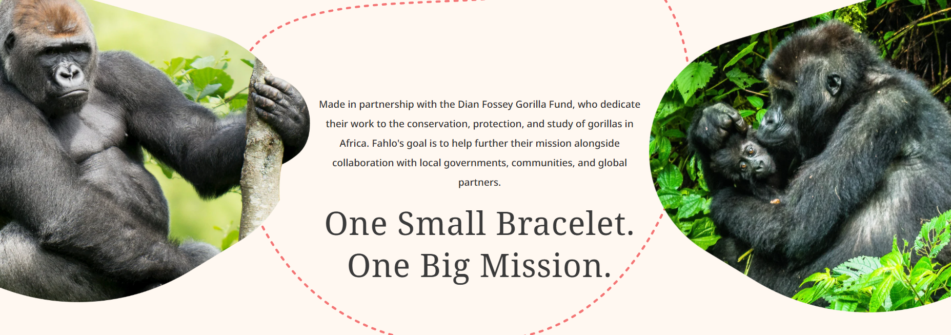 Fahlo - The Traverse Bracelet