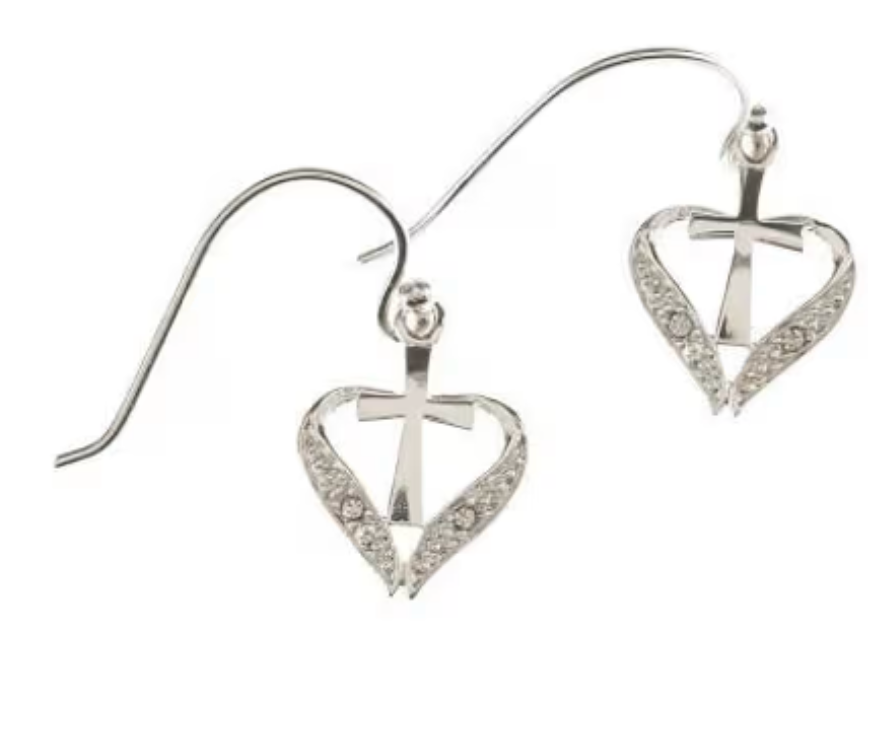 EAR-SP OPEN HEART/CRS SS WIRES