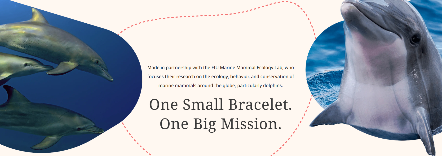 Fahlo - The Odyssey Bracelet