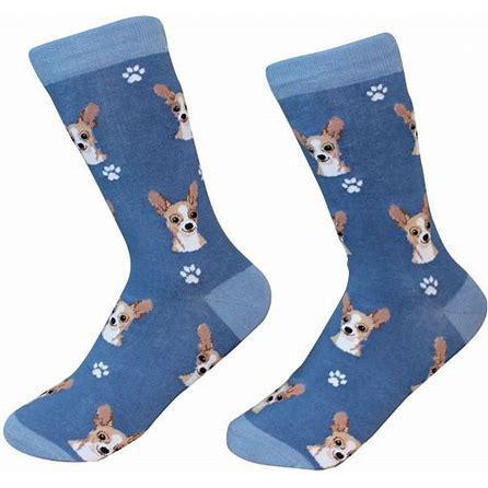 Chihuahua Dog Socks