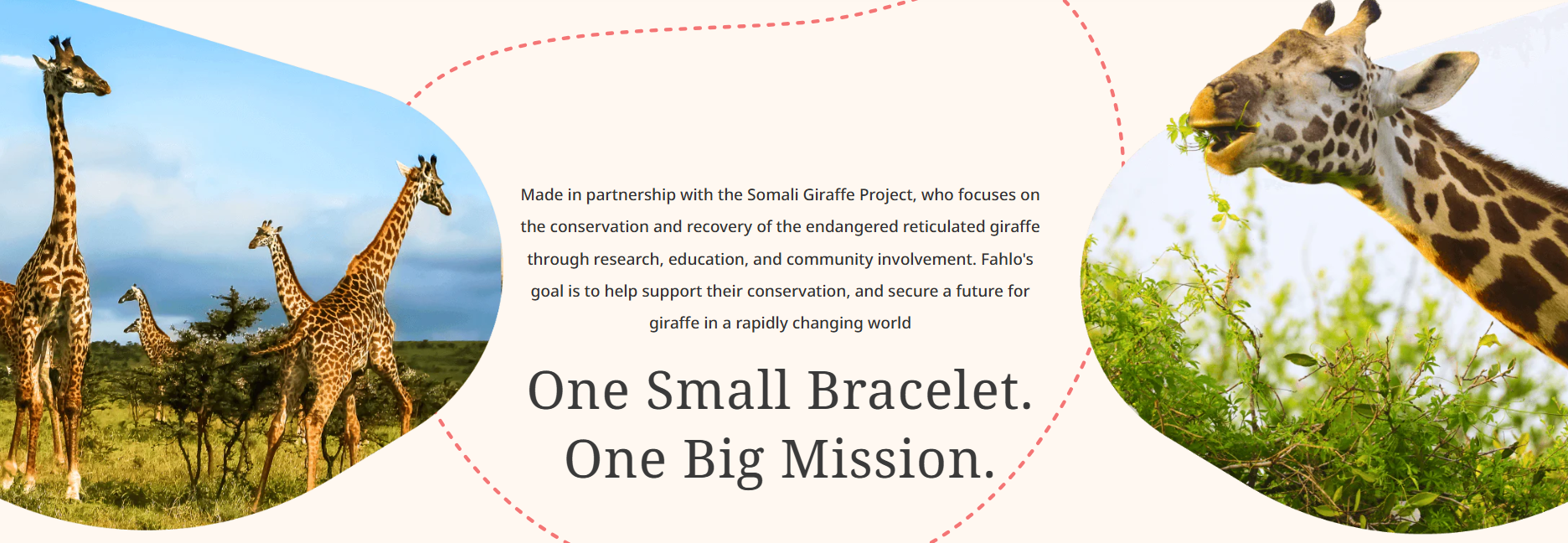 Fahlo - The Trek Bracelet