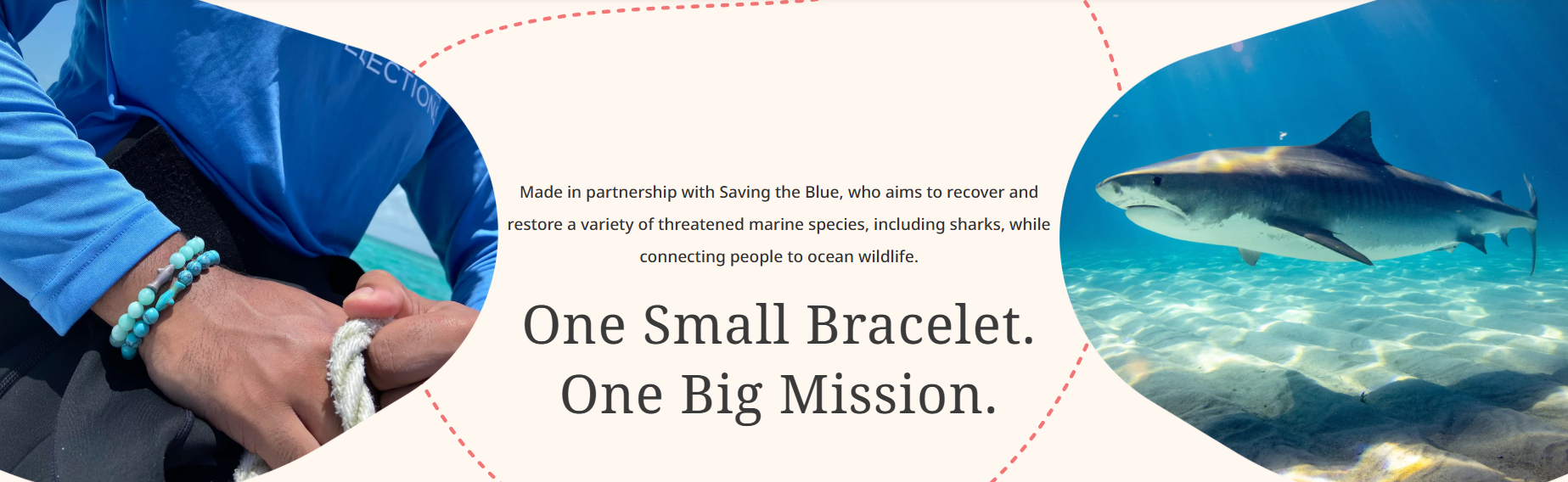 Fahlo - The Voyage Bracelet