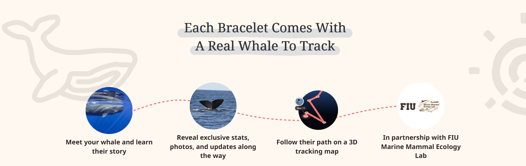 Fahlo - The Wayfare Bracelet