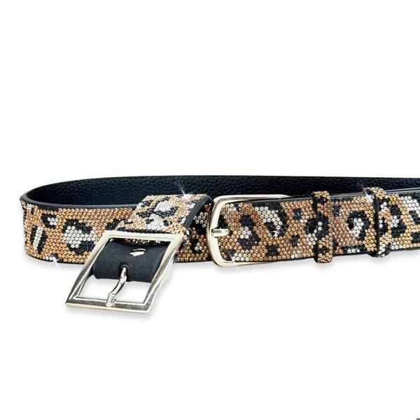 Wild Leopard Gold Dog Collar