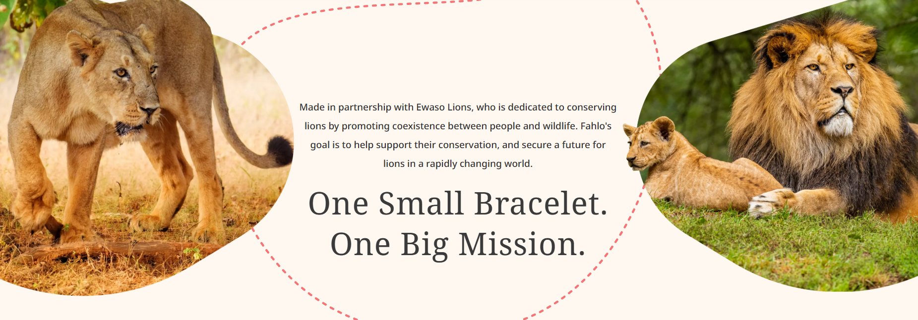 Fahlo - The Excursion Bracelet