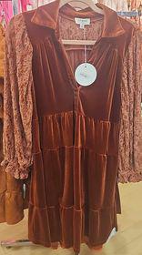 Velvet Lace Sleeve Dress