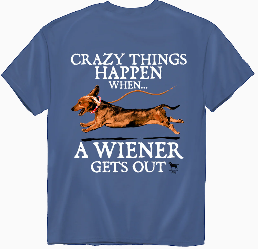 American Fido | Crazy Things Happen