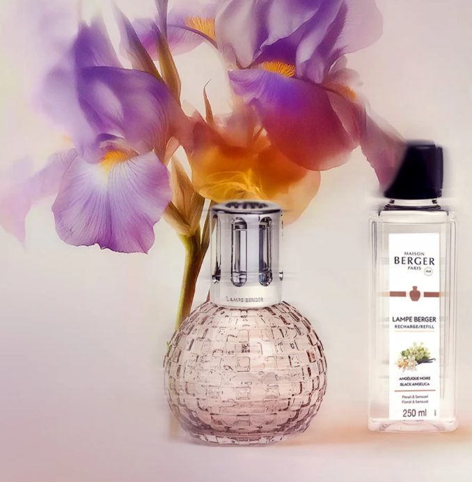 Disco Fragrance Lamp Gift Set with Black Angelica