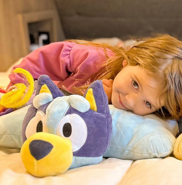 Pillow Pets
