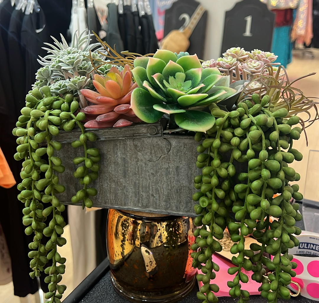 Tin Bucket Succulent Planter