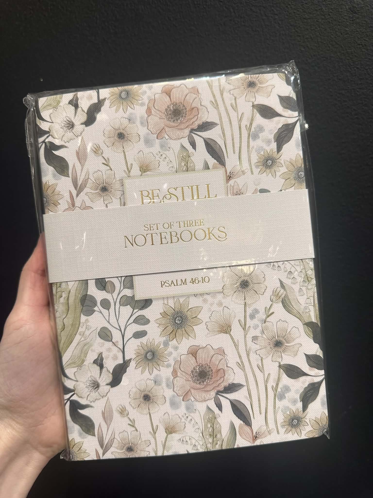 Psalm 46:10 Set of Three Notebooks