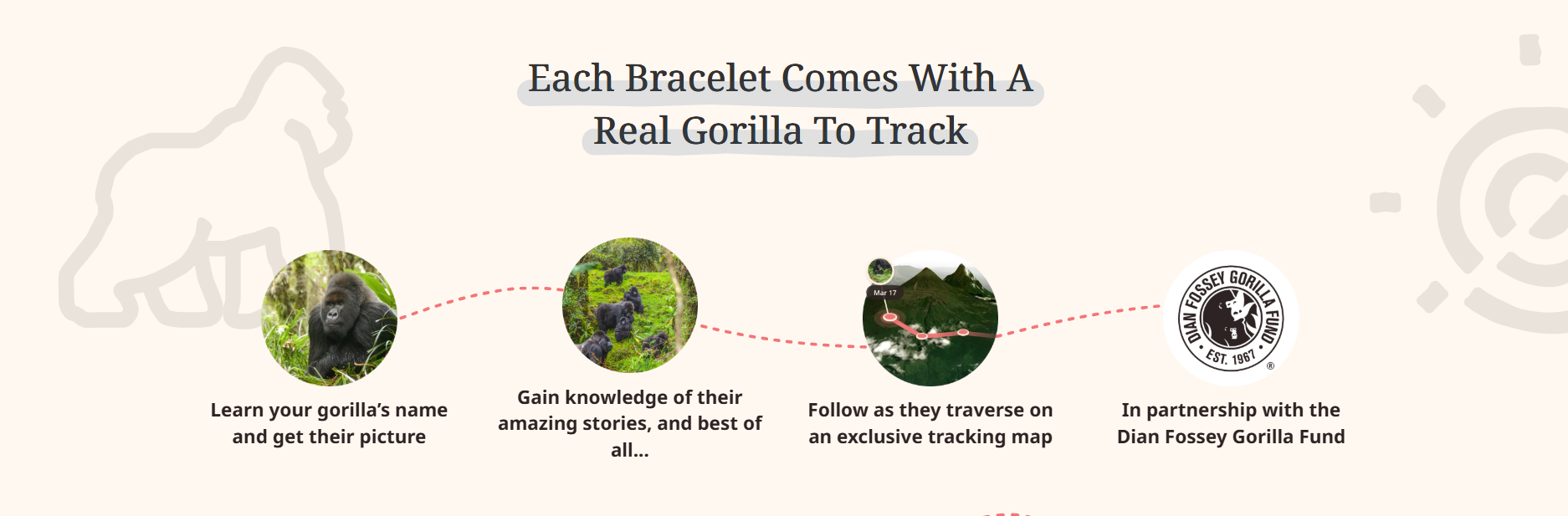 Fahlo - The Traverse Bracelet