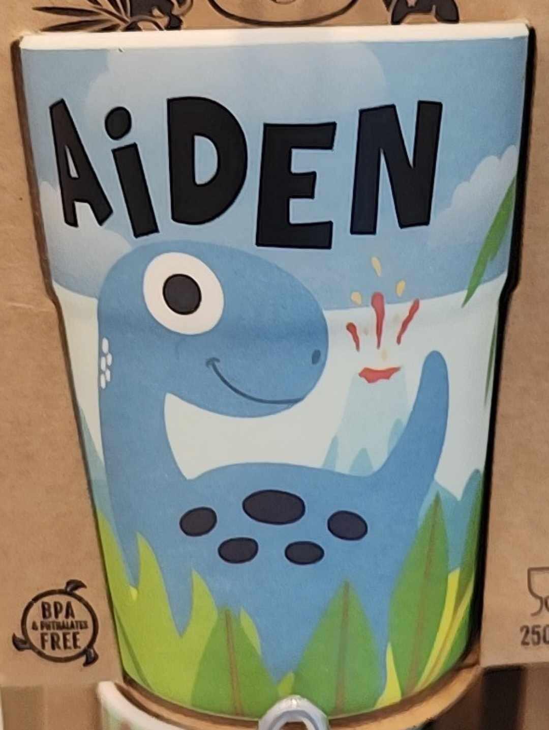 Aiden Dinosaur Cup