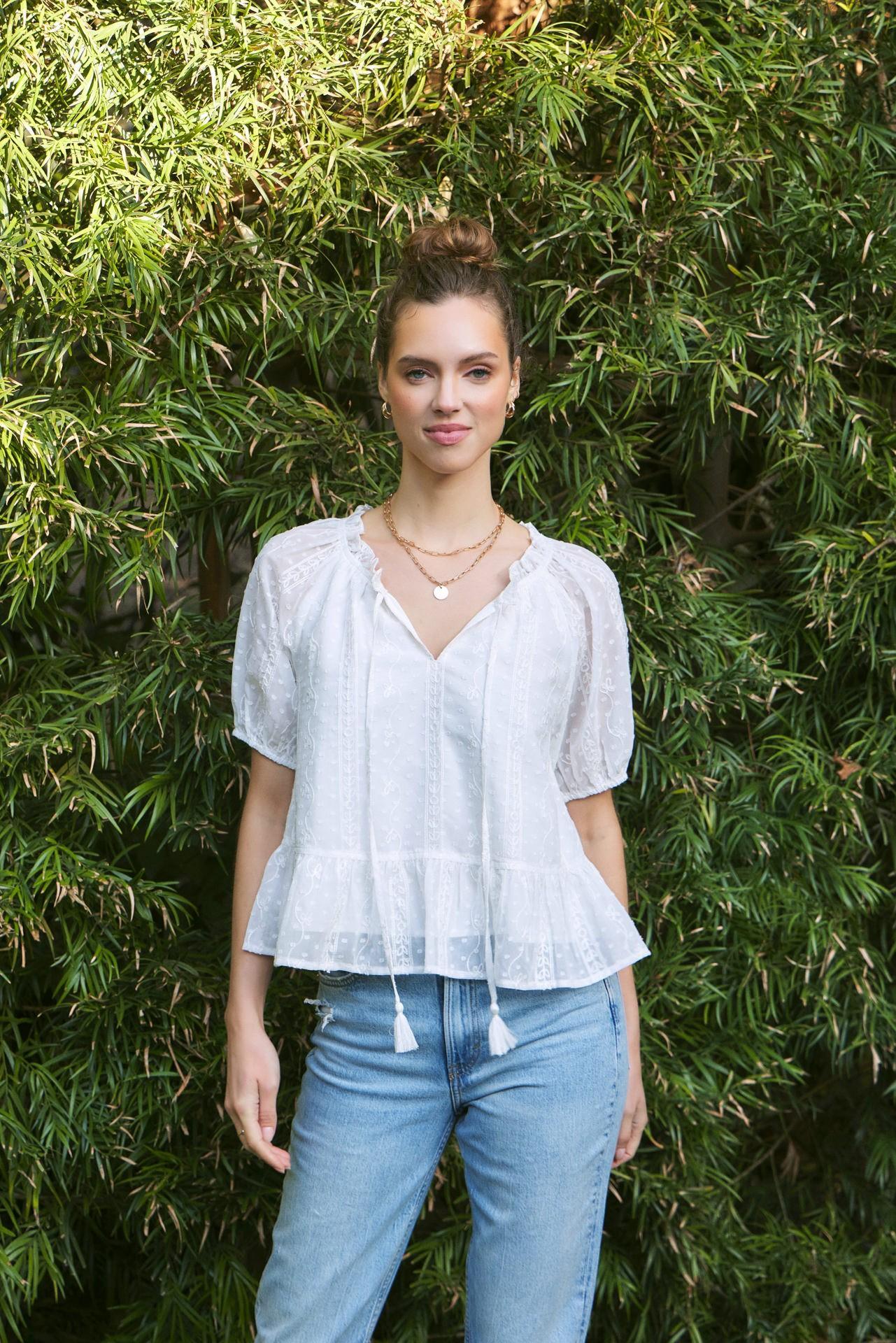 Embroidered Chiffon Flare Bubble Sleeve Blouse