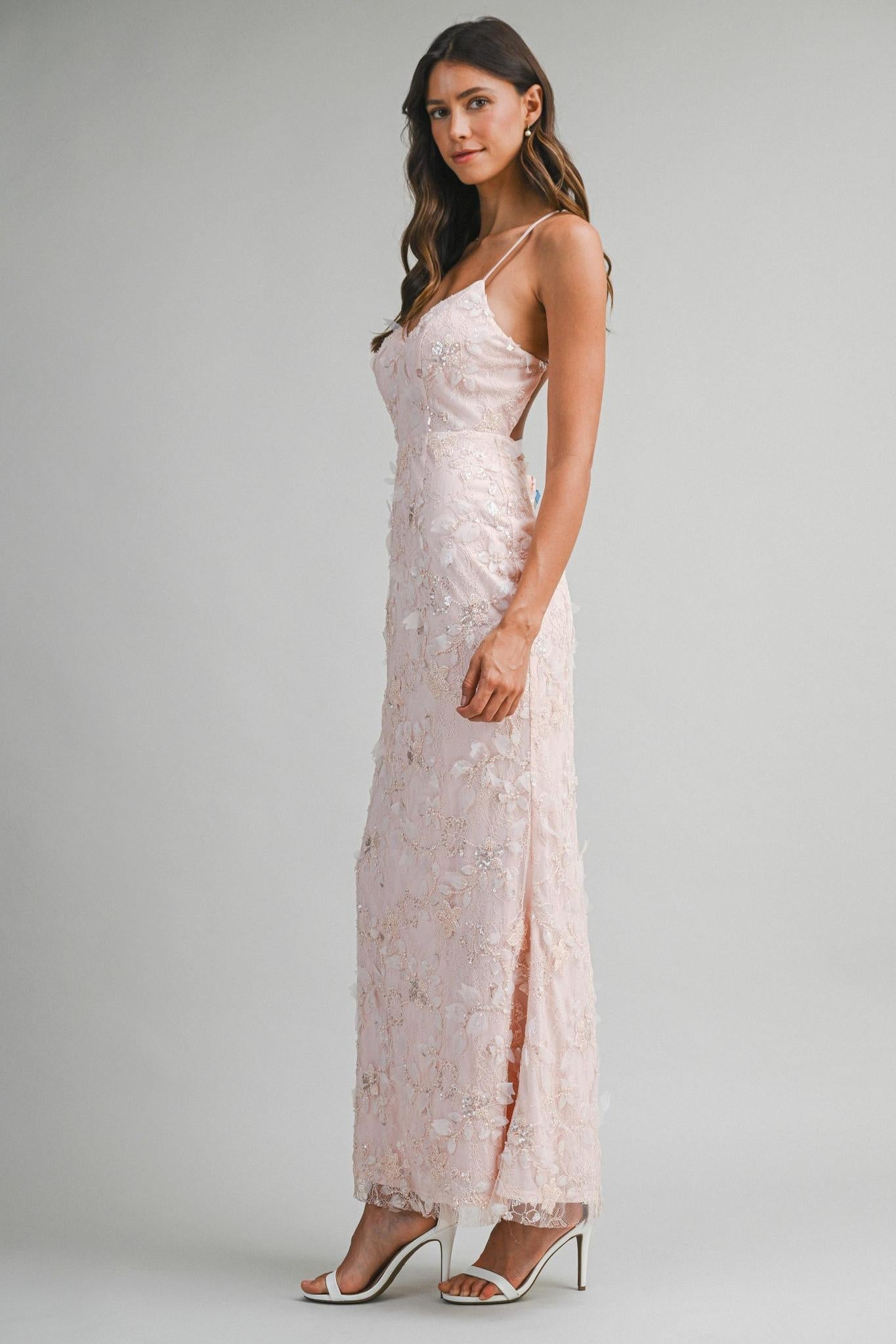 Embellished Lace Floral Applique Maxi Dress