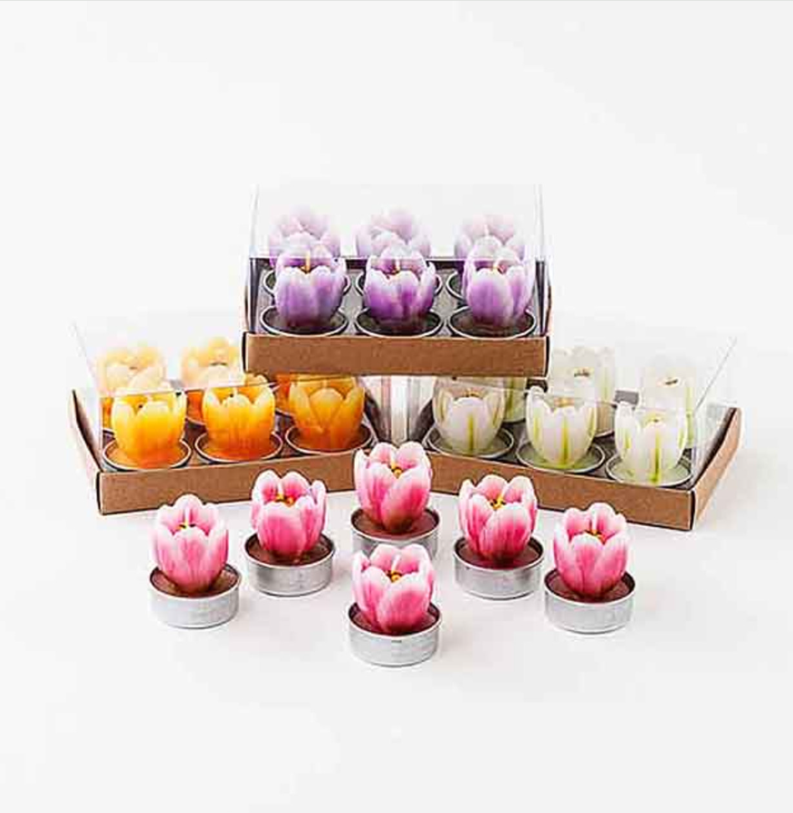 Tulip T-Lights - Assorted Mix