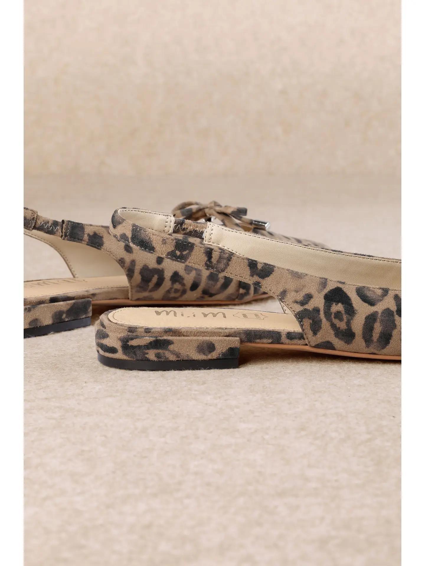 Pardina Leopard Pointes