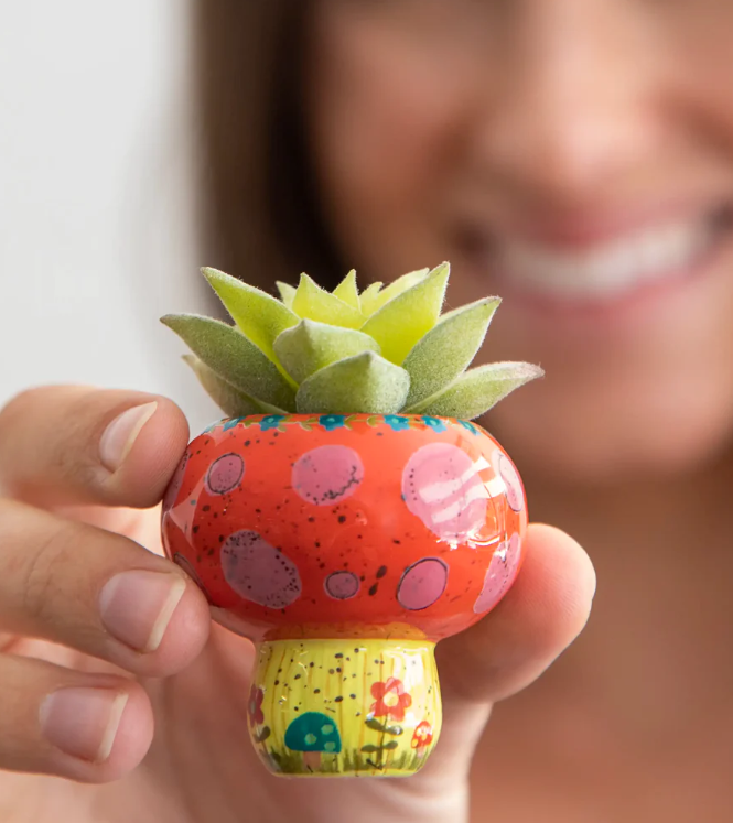 Mushroom Critter Succulent