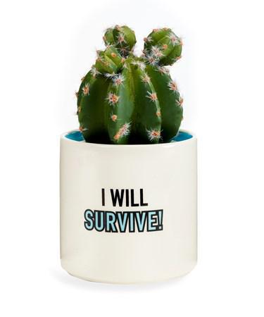 I Will Survive Planter