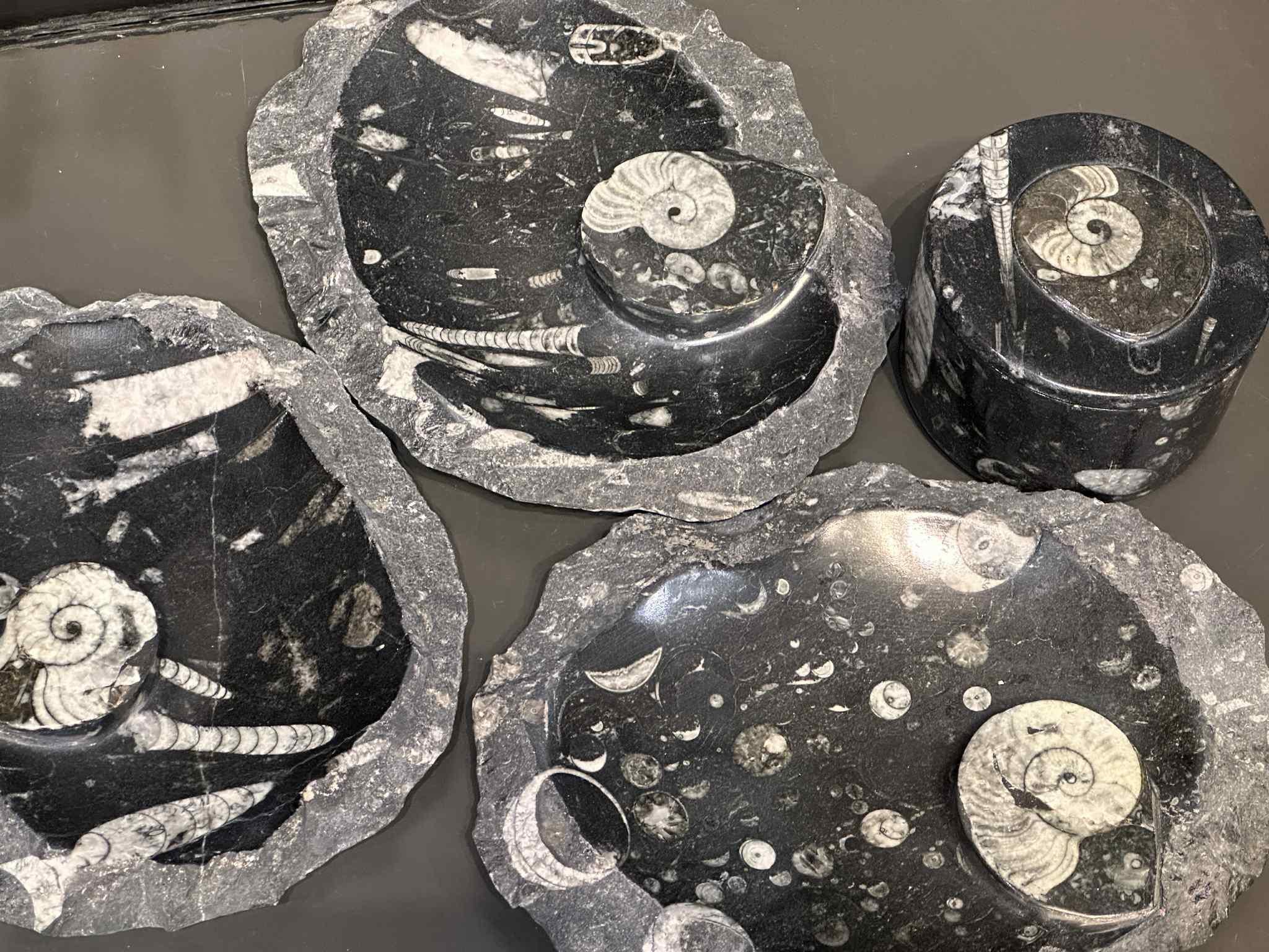 Fossilized Decor