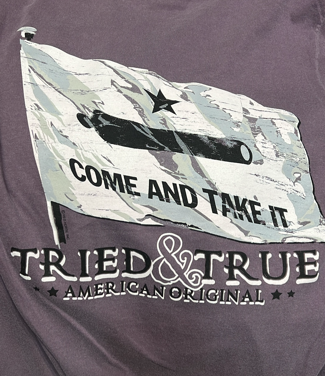 Come & Take It Tee