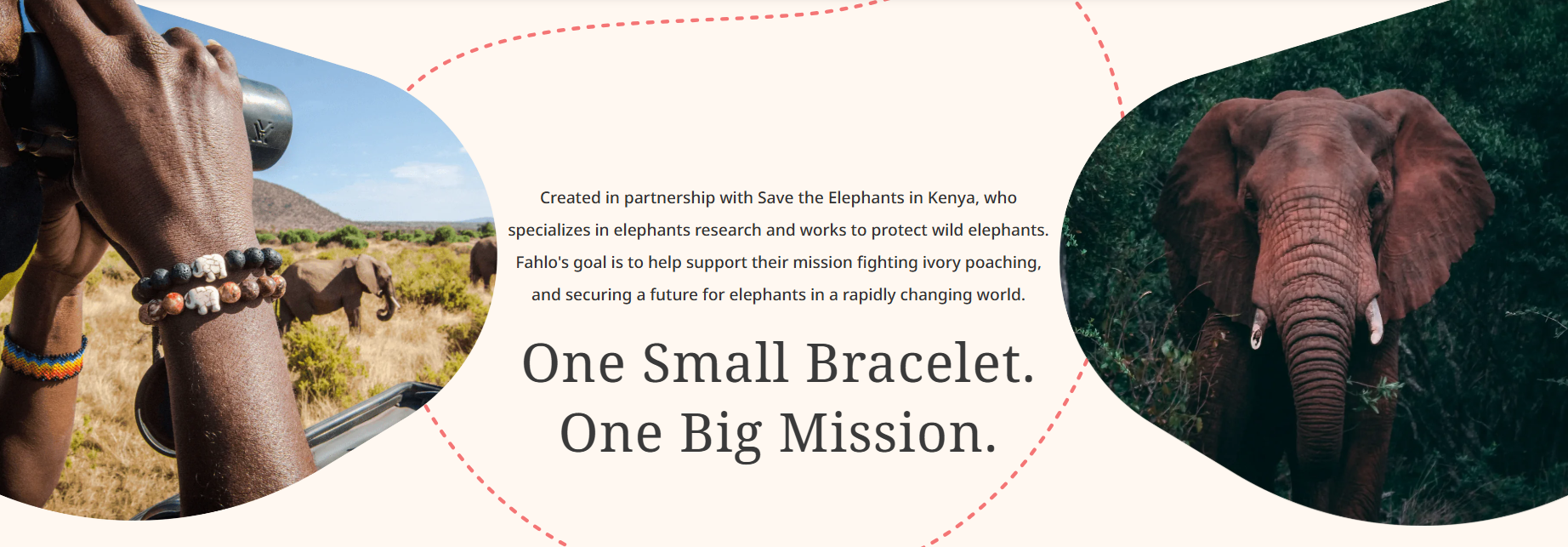 Fahlo - The Expedition Bracelet