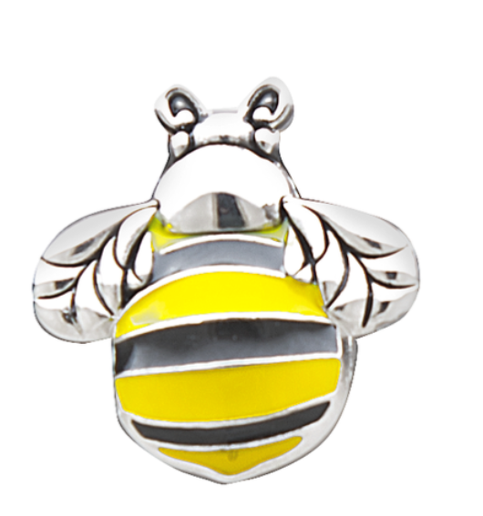 The Bumble Bee cannot fly