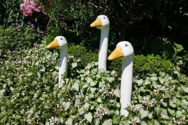 Garden Geese