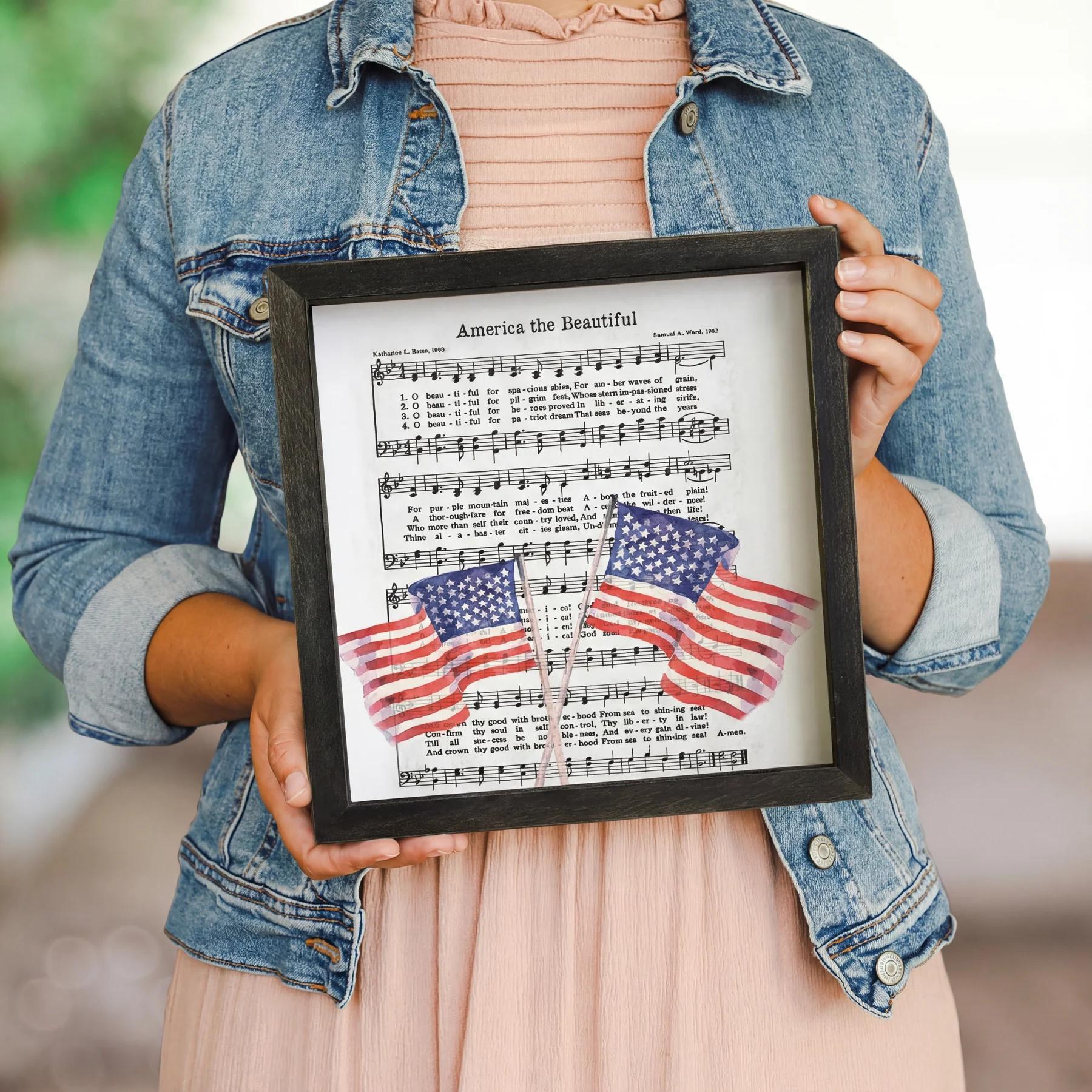 America The Beautiful Picture