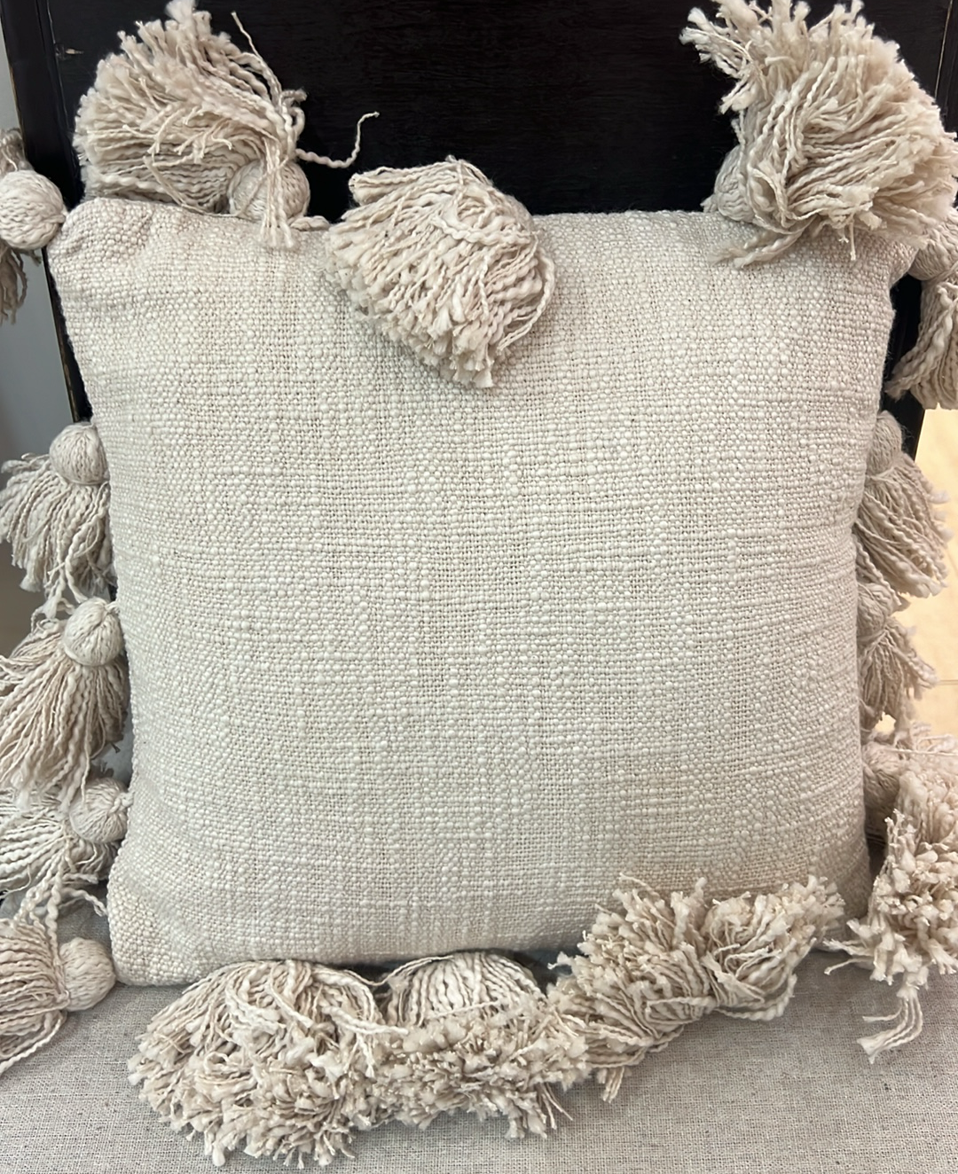 Woven Tassel Pillow