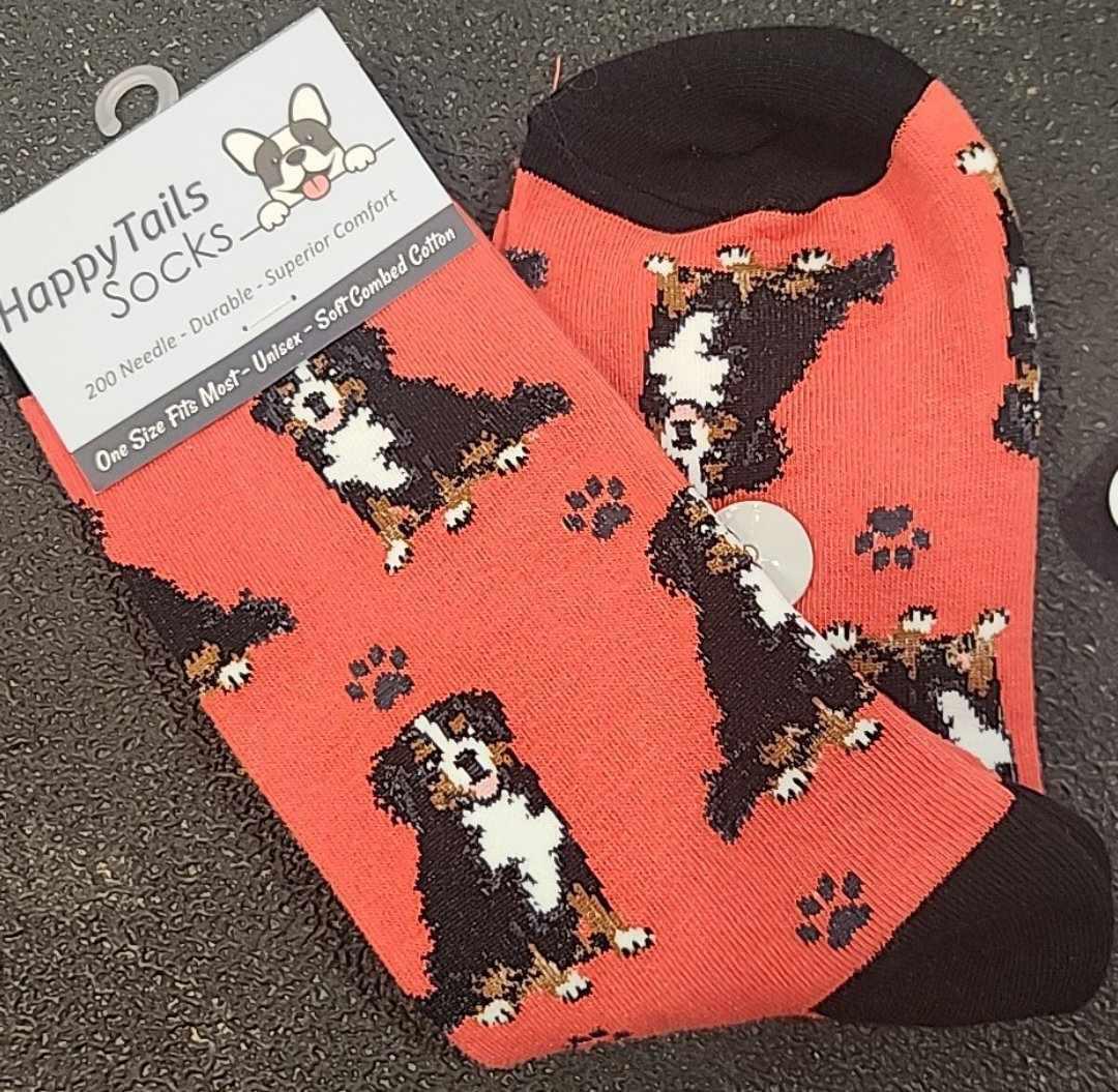 Bernese Mtn. Dog Socks