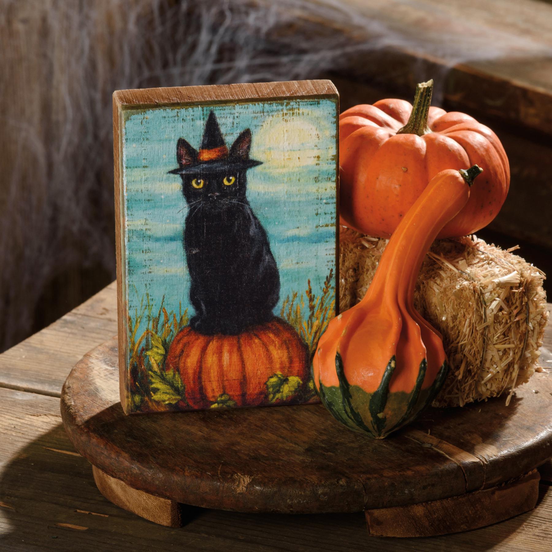 Cat Witch Block Sign