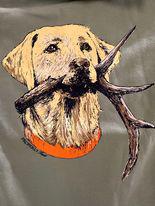 Boys Antler Lab LS Sage