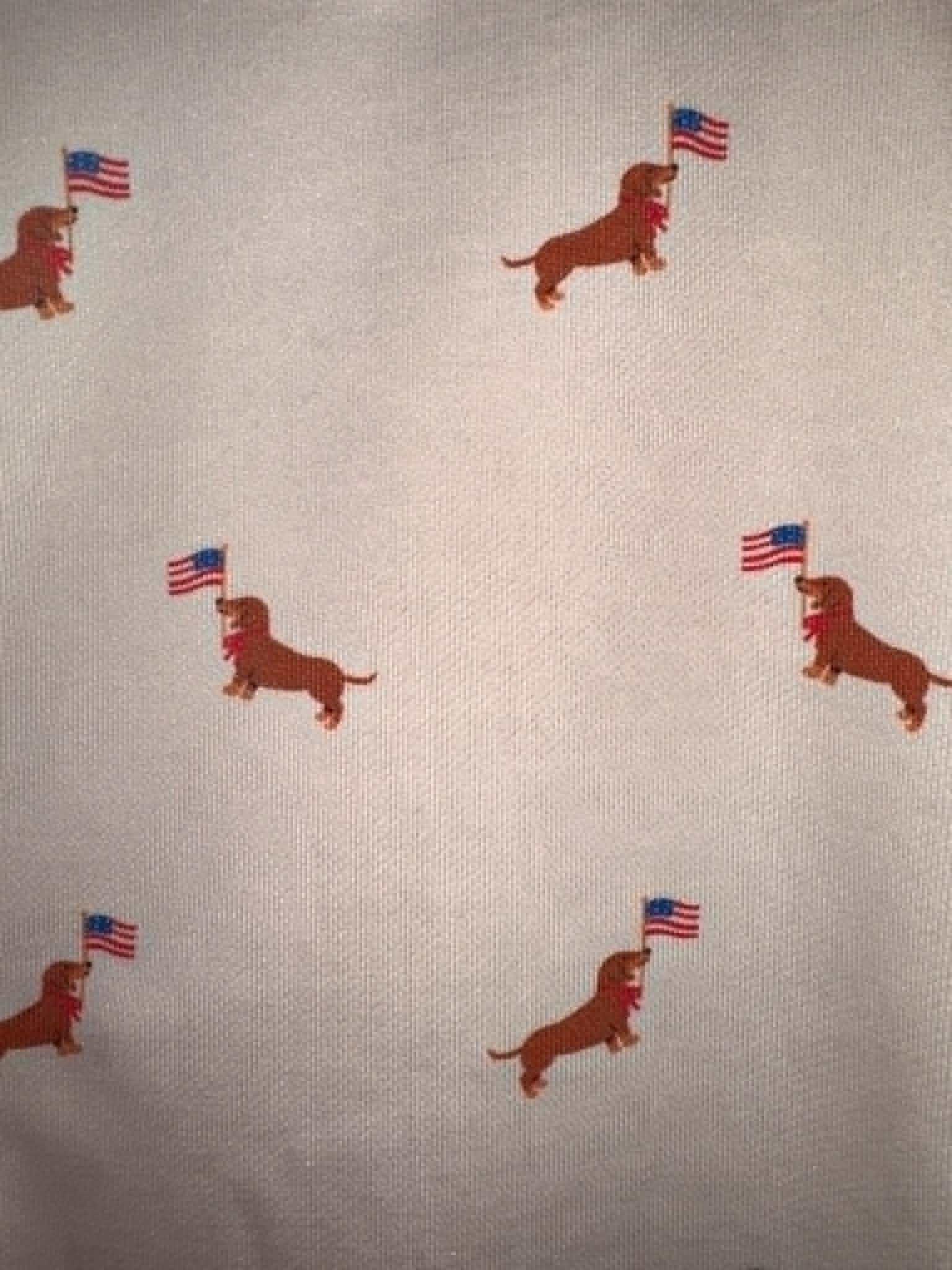 Round Neck USA Dog Graphic Sweatshirt