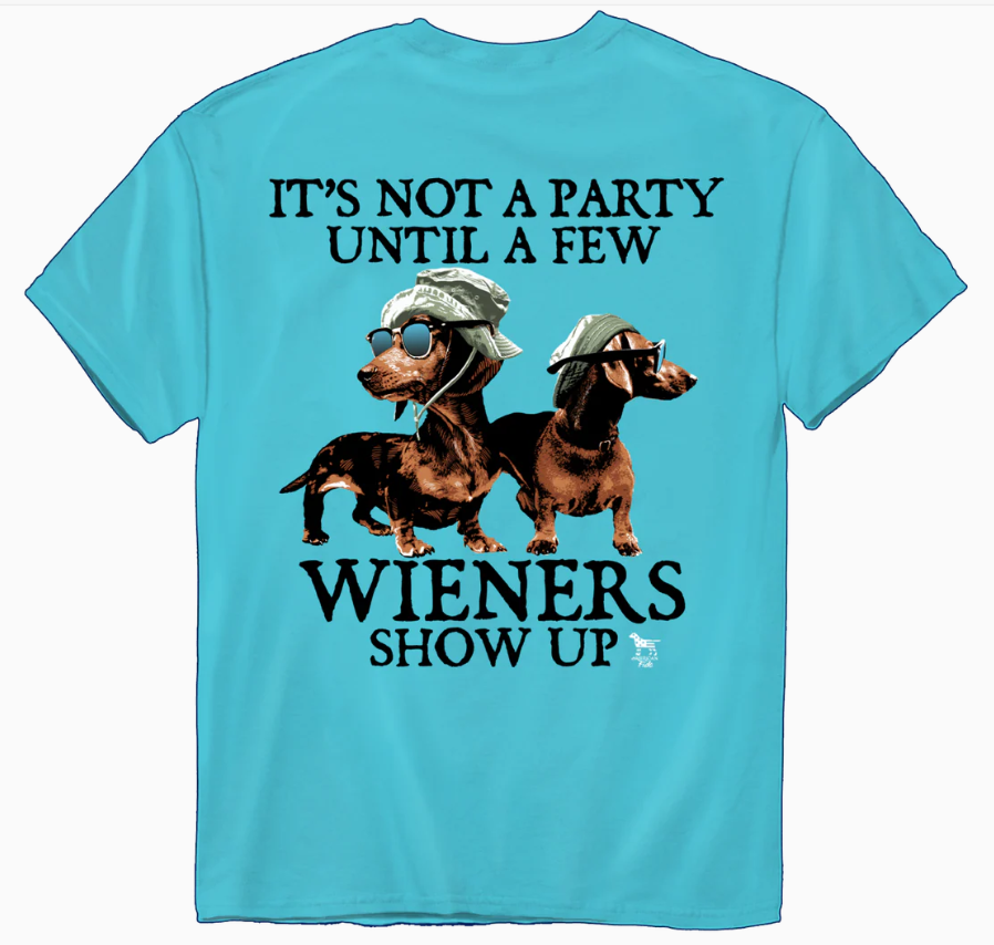 American Fido | It's Not A Party