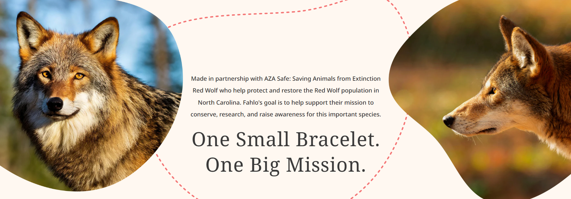 Fahlo - The Scout Bracelet