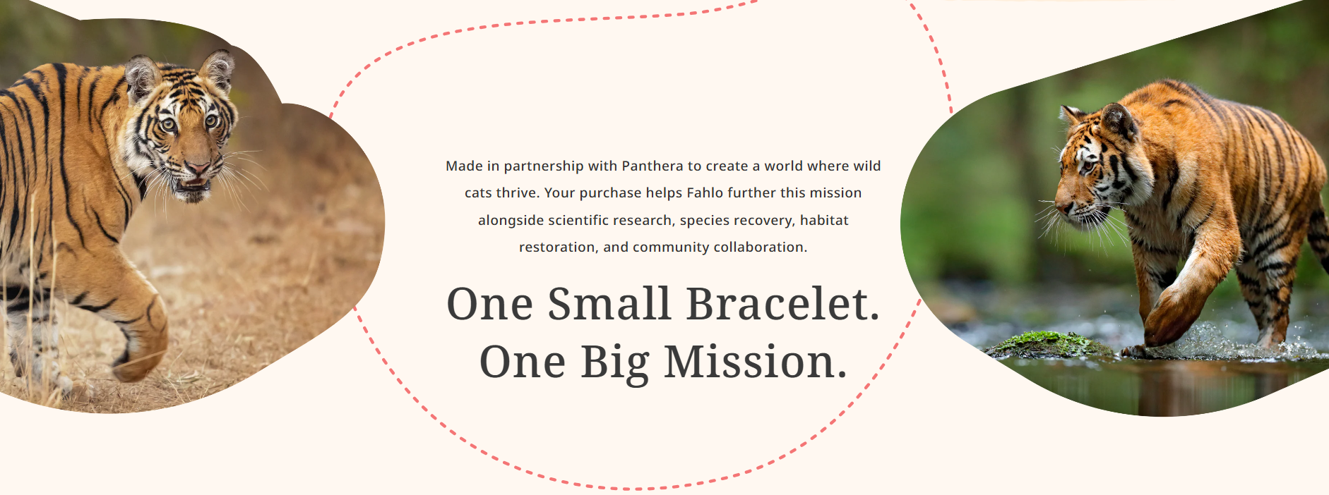 Fahlo - The Prowl Bracelet