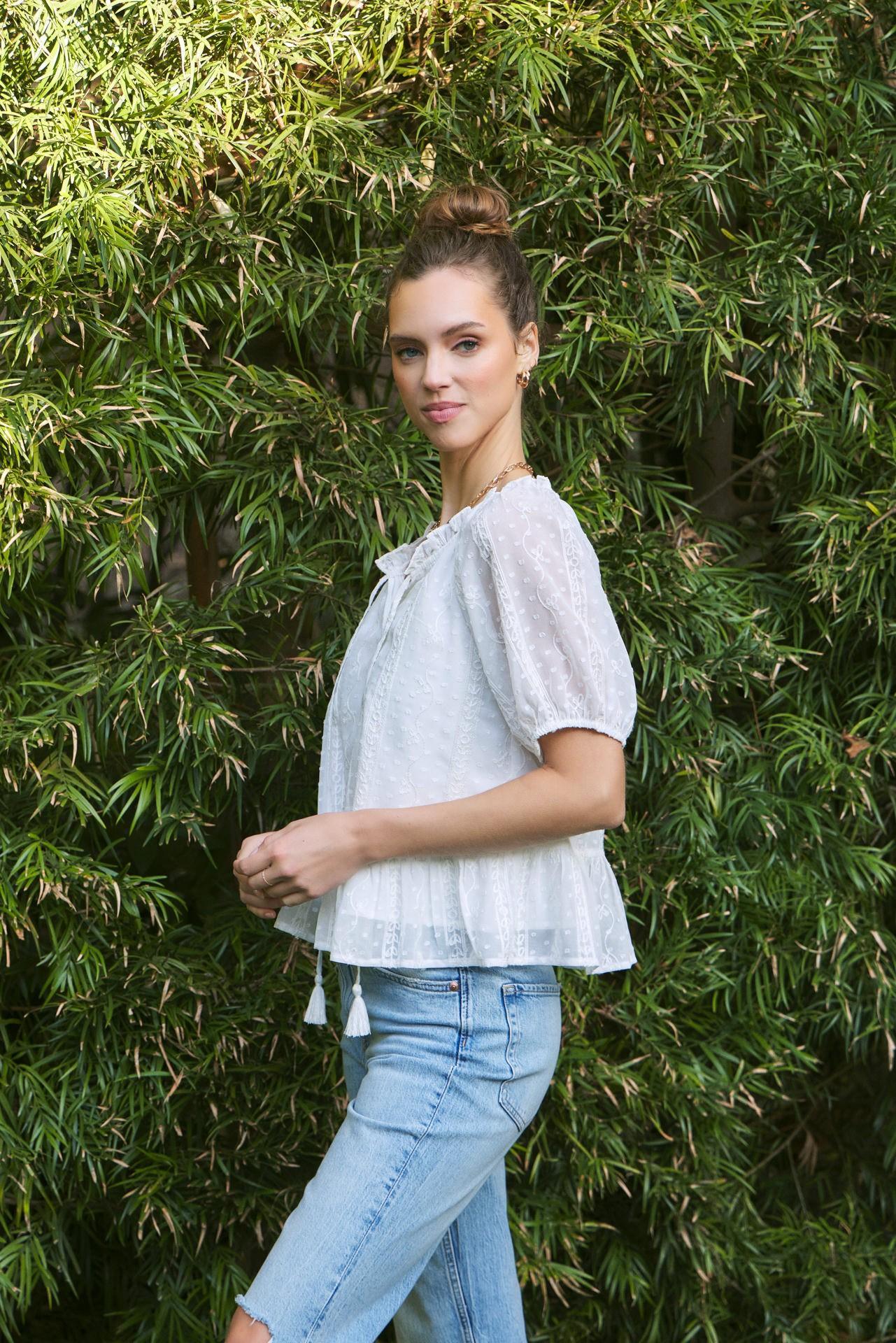 Embroidered Chiffon Flare Bubble Sleeve Blouse