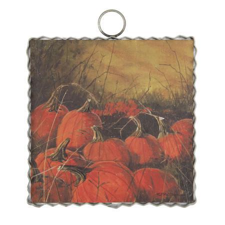Mini Gallery Pumpkins Up Close