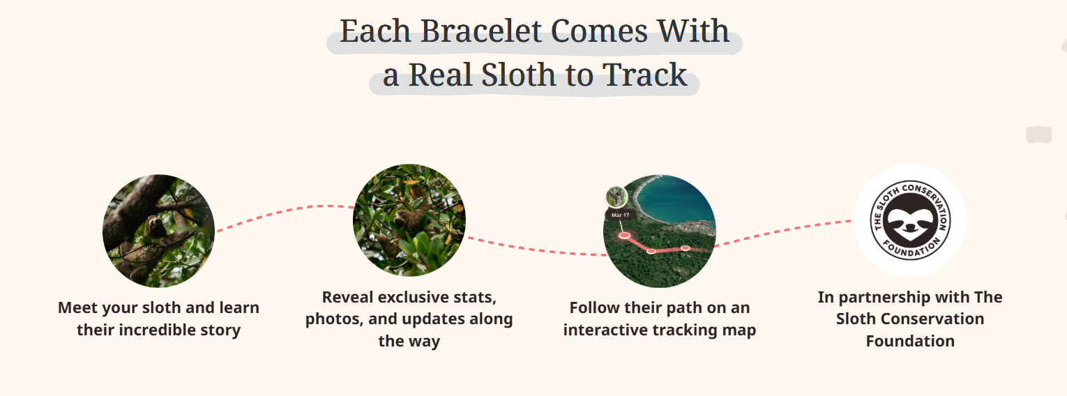 Fahlo - The Wander Bracelet