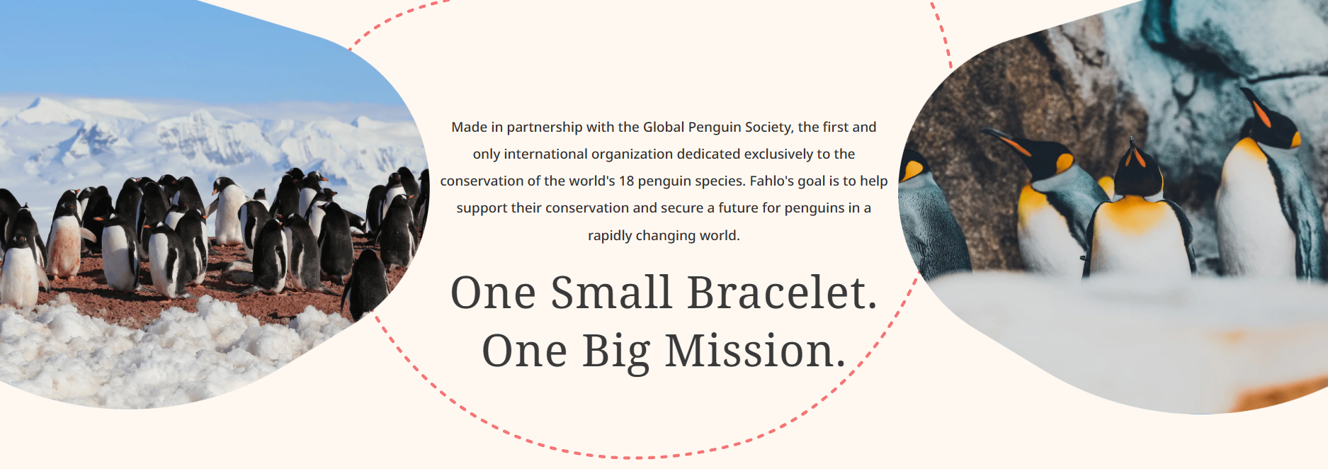 Fahlo - The Passage Bracelet