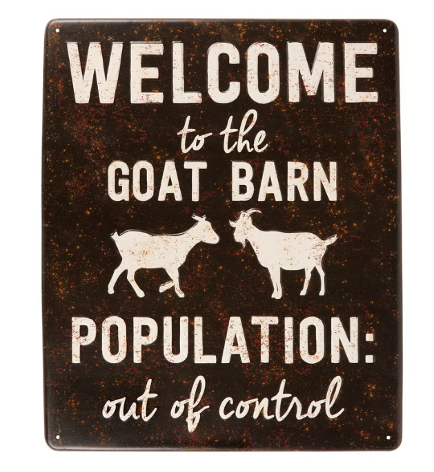 Primitives By Kathy Wall Decor