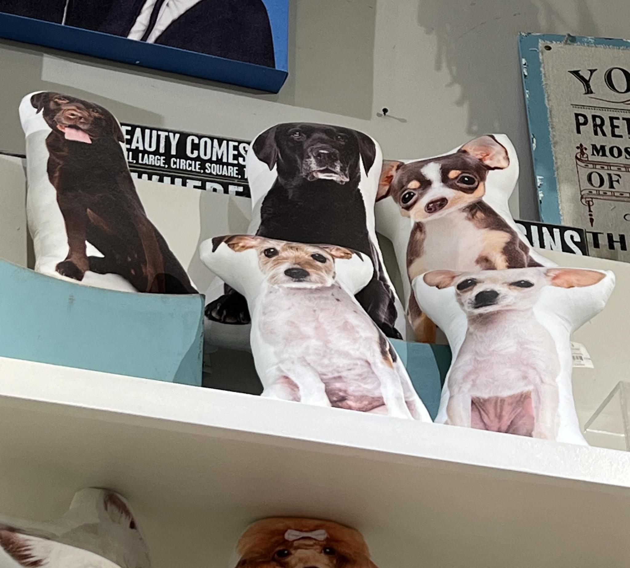Pet Pillow