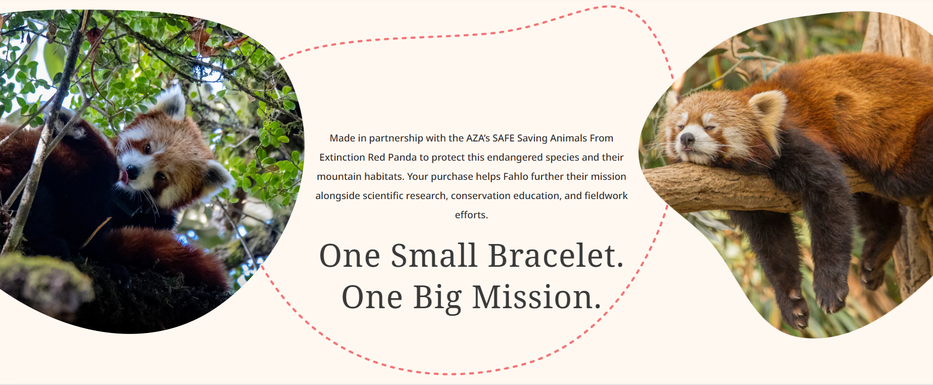 Fahlo - The Dash Bracelet