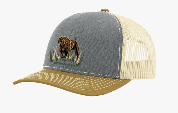 Pointer Strut Hat in Amber Gold/Grey