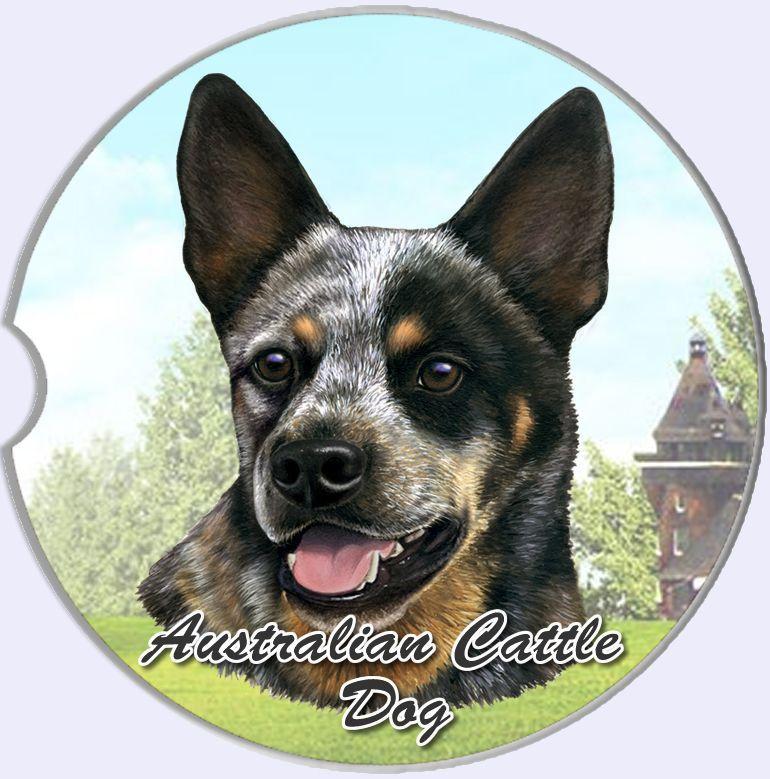 Australian Cattle Dog Car Coaster