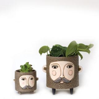 Hairy Jack Planter