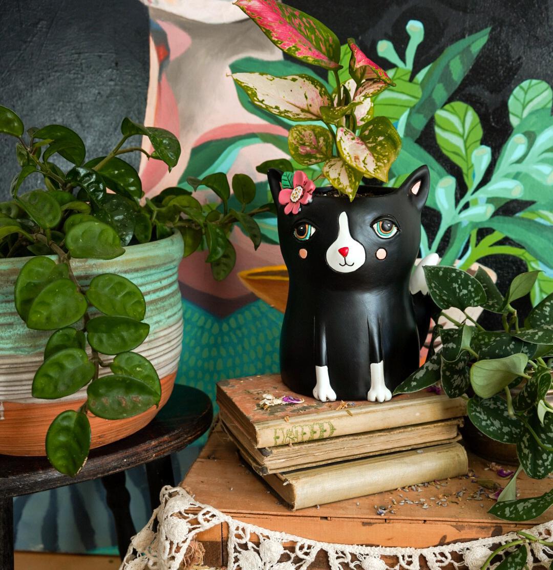 black cat plant pot Allen Designs Black Cat Planter
