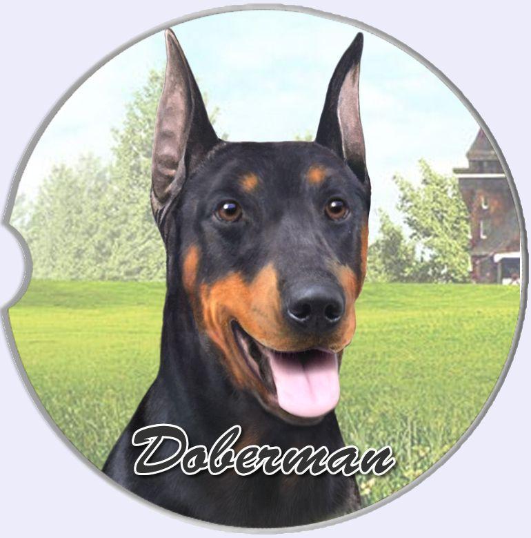 Doberman Car Coaster